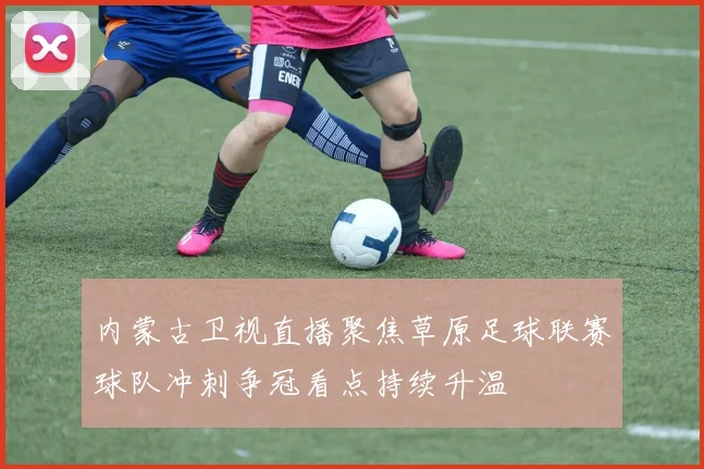 内蒙古卫视直播聚焦草原足球联赛球队冲刺争冠看点持续升温