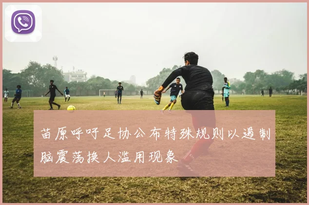 苗原呼吁足协公布特殊规则以遏制脑震荡换人滥用现象