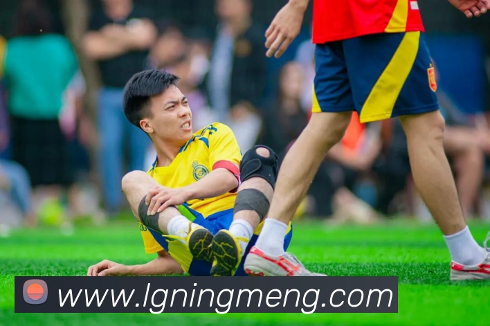 App Interface Preview