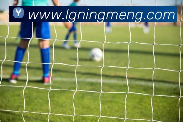 九游体育app官网入口直达APP 封面图